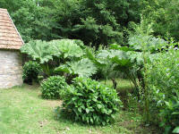 »Jardin Médicinal«, Abbaye de Daoulas